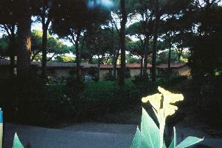 Sardegna-2004(Arborea)